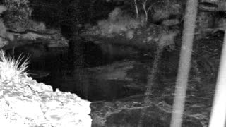 Still 1 from this detection