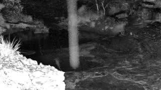Still 1 from this detection