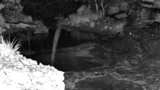 Still 1 from this detection
