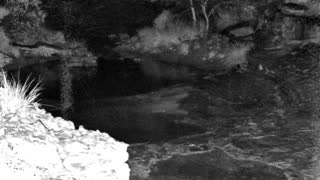 Still 1 from this detection
