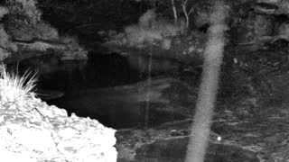Still 1 from this detection