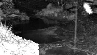 Still 1 from this detection