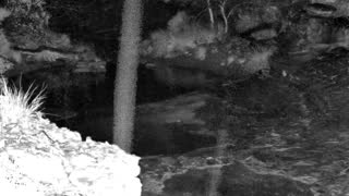 Still 1 from this detection