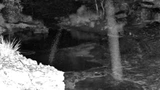 Still 1 from this detection