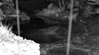 Still 1 from this detection