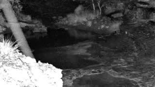 Still 1 from this detection