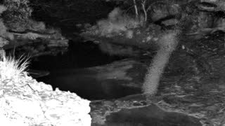 Still 1 from this detection
