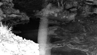 Still 1 from this detection
