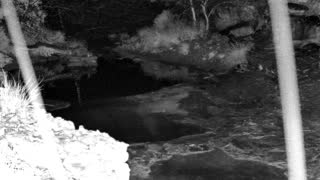 Still 1 from this detection