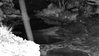 Still 1 from this detection