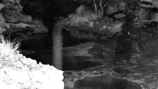 Still 1 from this detection