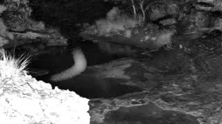 Still 1 from this detection