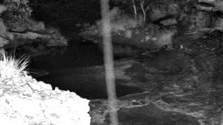 Still 1 from this detection