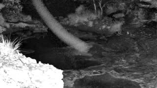 Still 1 from this detection