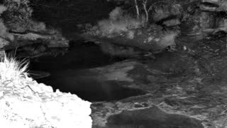 Still 1 from this detection