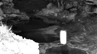 Still 1 from this detection