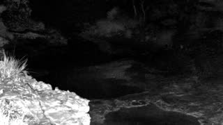 Still 1 from this detection