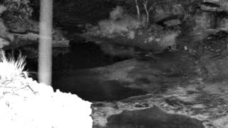 Still 1 from this detection