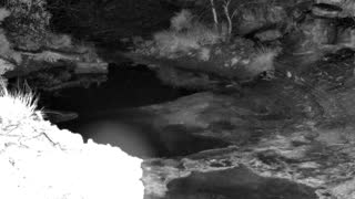 Still 1 from this detection