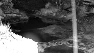 Still 1 from this detection