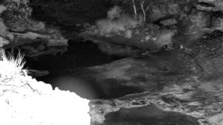 Still 1 from this detection