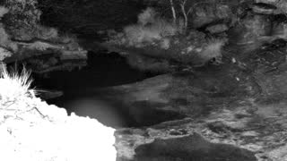 Still 1 from this detection