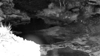 Still 1 from this detection