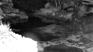Still 1 from this detection