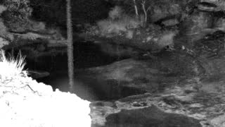 Still 1 from this detection