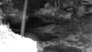 Still 1 from this detection