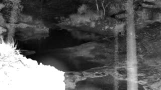 Still 1 from this detection