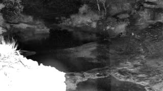 Still 1 from this detection