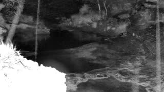 Still 1 from this detection