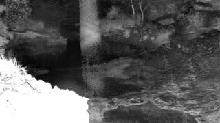 Still 1 from this detection