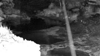 Still 1 from this detection