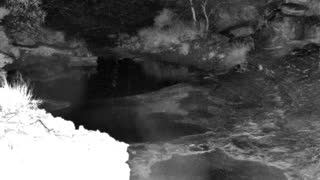 Still 1 from this detection