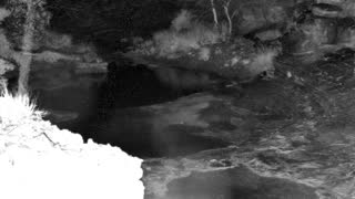 Still 1 from this detection
