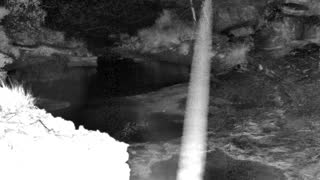 Still 1 from this detection