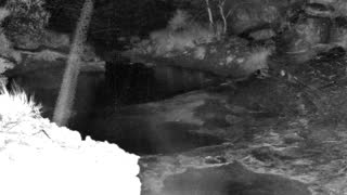 Still 1 from this detection