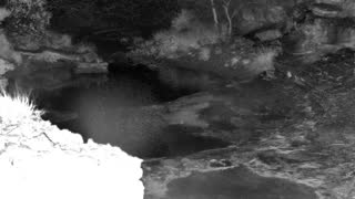 Still 1 from this detection