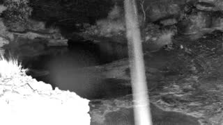 Still 1 from this detection