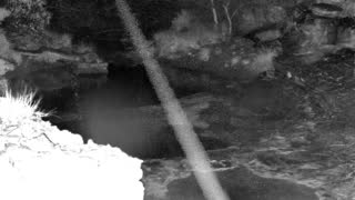 Still 1 from this detection