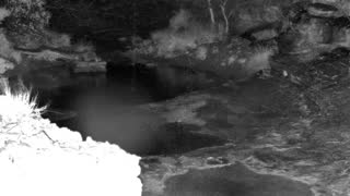 Still 1 from this detection