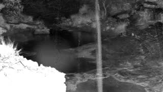 Still 1 from this detection