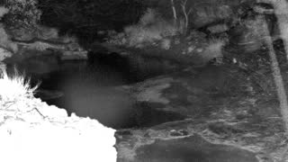 Still 1 from this detection