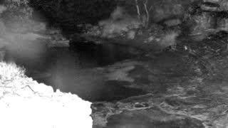 Still 1 from this detection