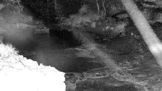 Still 1 from this detection