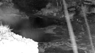 Still 1 from this detection