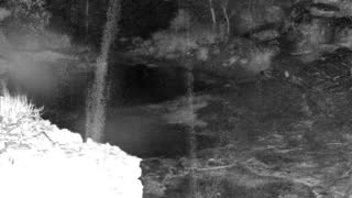 Still 1 from this detection
