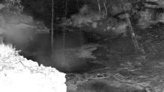 Still 1 from this detection